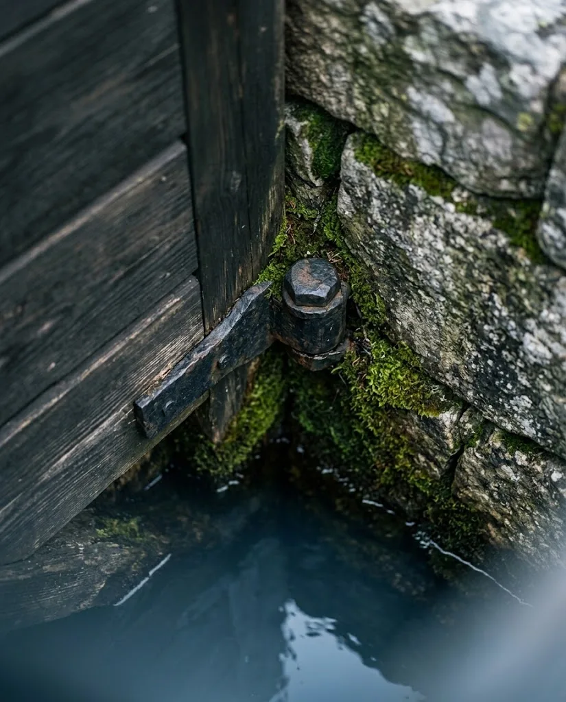 Artist's impression of a detail at the lock: dark timber joined with a forged iron bolt, softened by moss